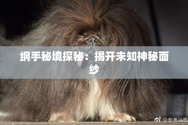 纲手秘境探秘：揭开未知神秘面纱