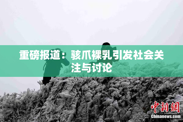 重磅报道：骇爪裸乳引发社会关注与讨论