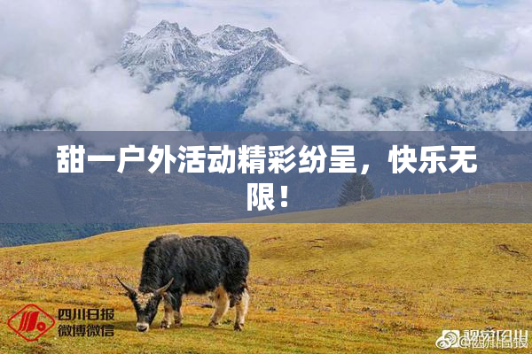 甜一户外活动精彩纷呈，快乐无限！