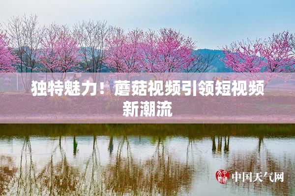 独特魅力！蘑菇视频引领短视频新潮流