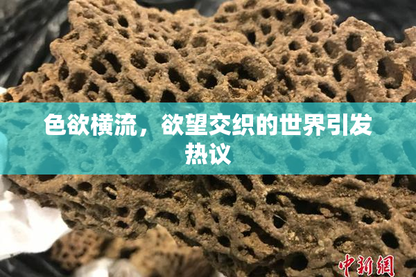 色欲横流，欲望交织的世界引发热议