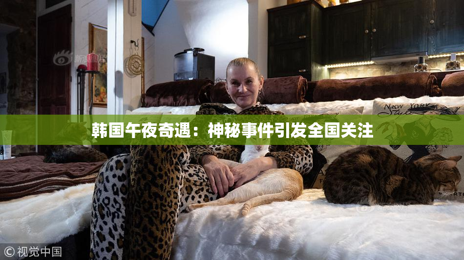 韩国午夜奇遇：神秘事件引发全国关注