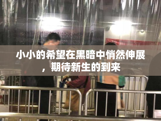 小小的希望在黑暗中悄然伸展，期待新生的到来