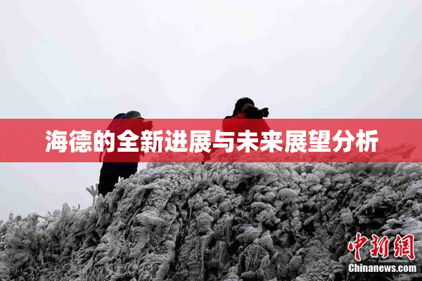 海德的全新进展与未来展望分析