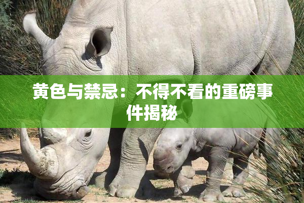 黄色与禁忌：不得不看的重磅事件揭秘