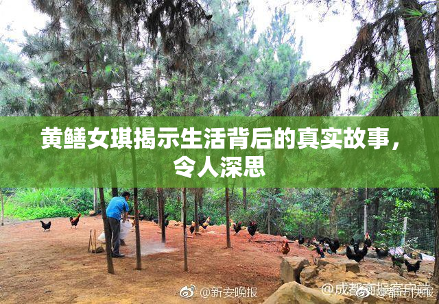 黄鳝女琪揭示生活背后的真实故事，令人深思