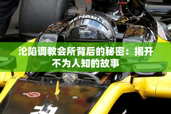 沦陷调教会所背后的秘密：揭开不为人知的故事