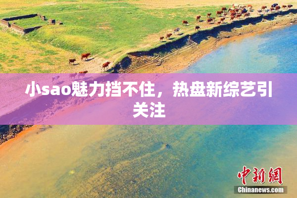 小sao魅力挡不住，热盘新综艺引关注
