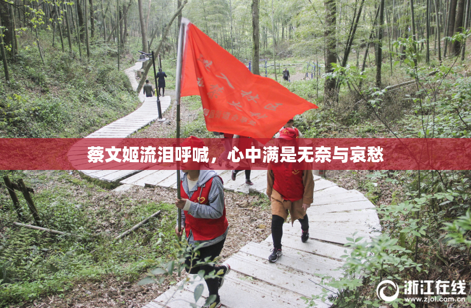 蔡文姬流泪呼喊，心中满是无奈与哀愁