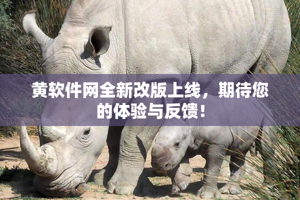黄软件网全新改版上线，期待您的体验与反馈！
