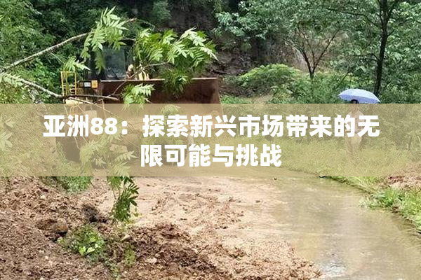 亚洲88：探索新兴市场带来的无限可能与挑战