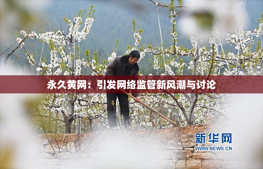 永久黄网：引发网络监管新风潮与讨论