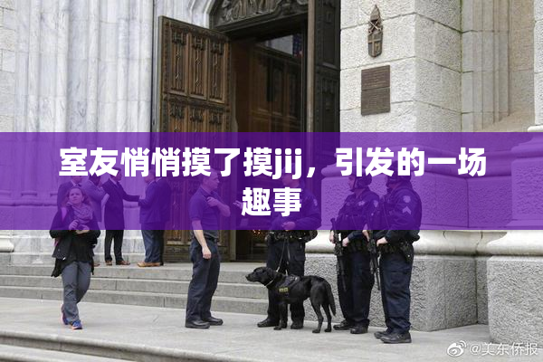 室友悄悄摸了摸jij，引发的一场趣事
