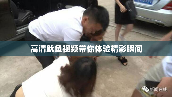 高清鱿鱼视频带你体验精彩瞬间