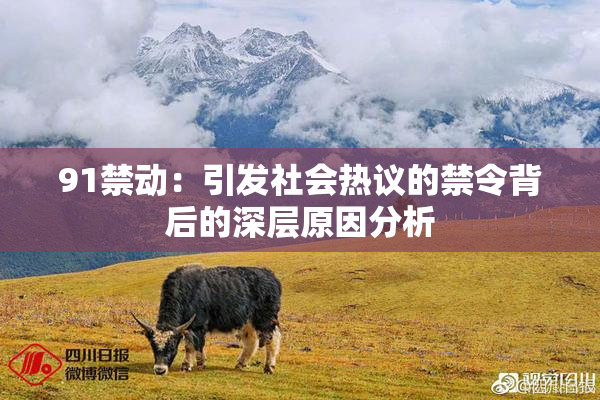 91禁动：引发社会热议的禁令背后的深层原因分析