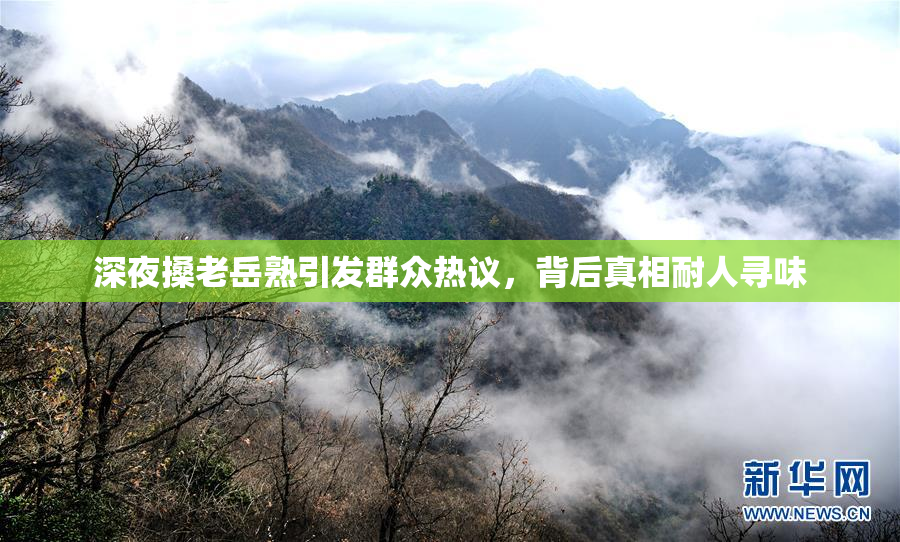 深夜搡老岳熟引发群众热议，背后真相耐人寻味