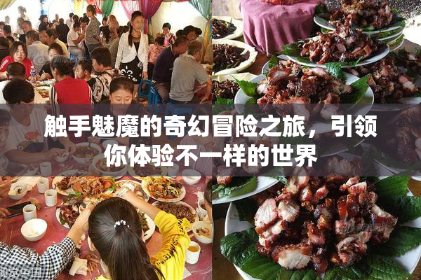 触手魅魔的奇幻冒险之旅，引领你体验不一样的世界