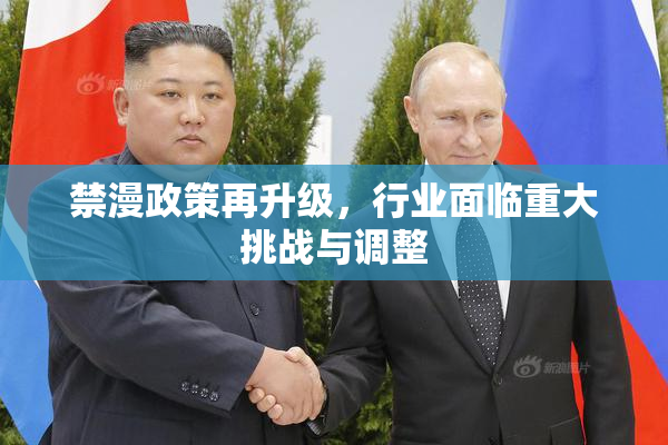 禁漫政策再升级，行业面临重大挑战与调整