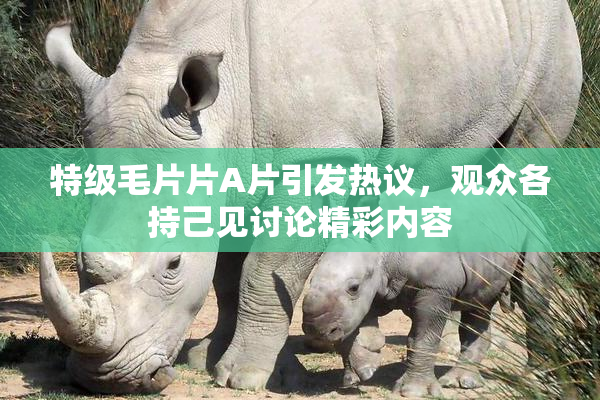 特级毛片片A片引发热议，观众各持己见讨论精彩内容