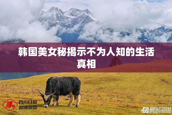 韩国美女秘揭示不为人知的生活真相