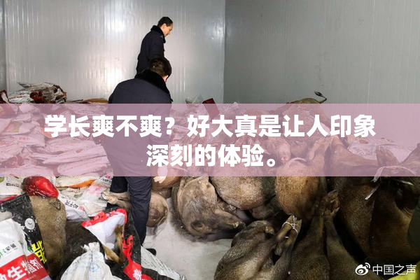学长爽不爽？好大真是让人印象深刻的体验。