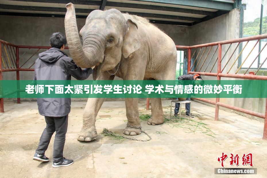 老师下面太紧引发学生讨论 学术与情感的微妙平衡