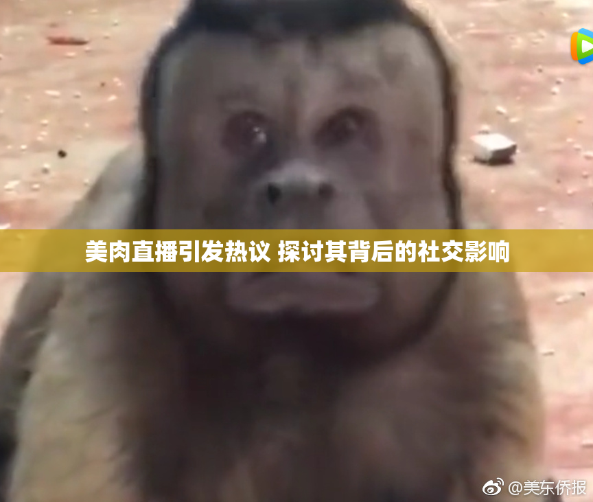 美肉直播引发热议 探讨其背后的社交影响