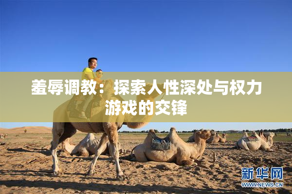 羞辱调教：探索人性深处与权力游戏的交锋