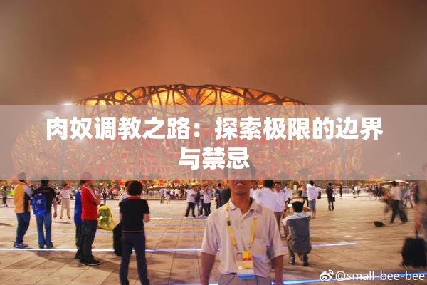 肉奴调教之路：探索极限的边界与禁忌