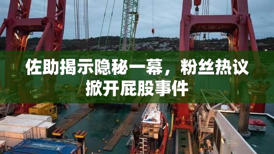 佐助揭示隐秘一幕，粉丝热议掀开屁股事件