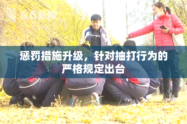 惩罚措施升级，针对抽打行为的严格规定出台