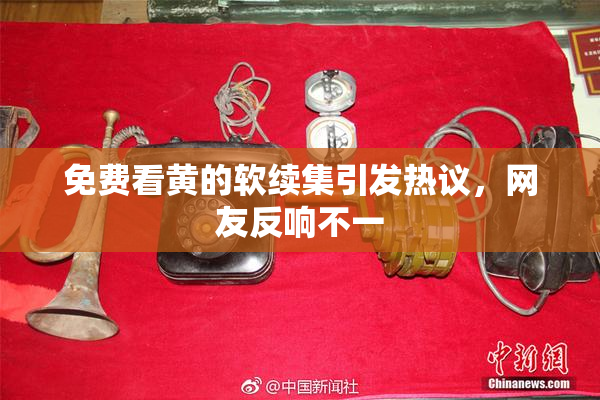 免费看黄的软续集引发热议，网友反响不一