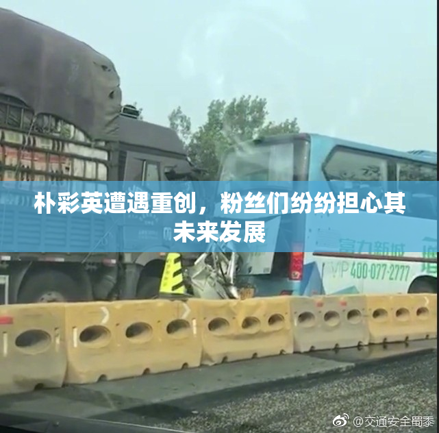 朴彩英遭遇重创，粉丝们纷纷担心其未来发展