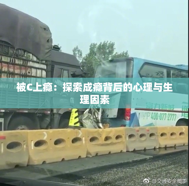 被C上瘾：探索成瘾背后的心理与生理因素