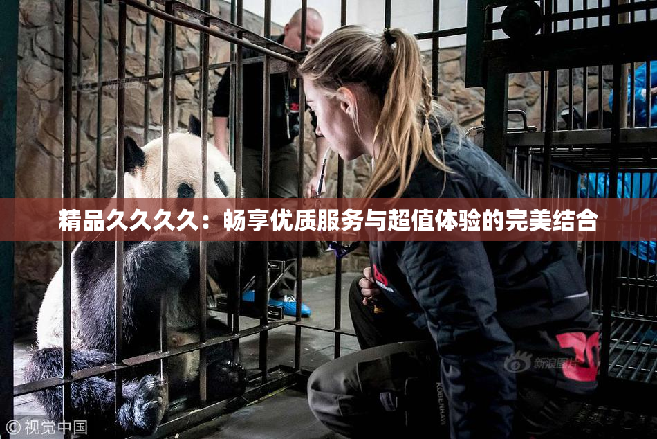精品久久久久：畅享优质服务与超值体验的完美结合