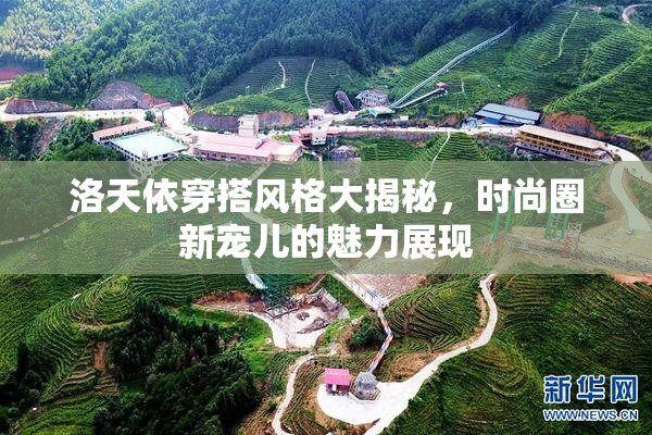 洛天依穿搭风格大揭秘，时尚圈新宠儿的魅力展现