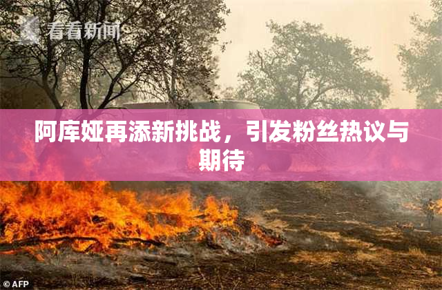 阿库娅再添新挑战，引发粉丝热议与期待