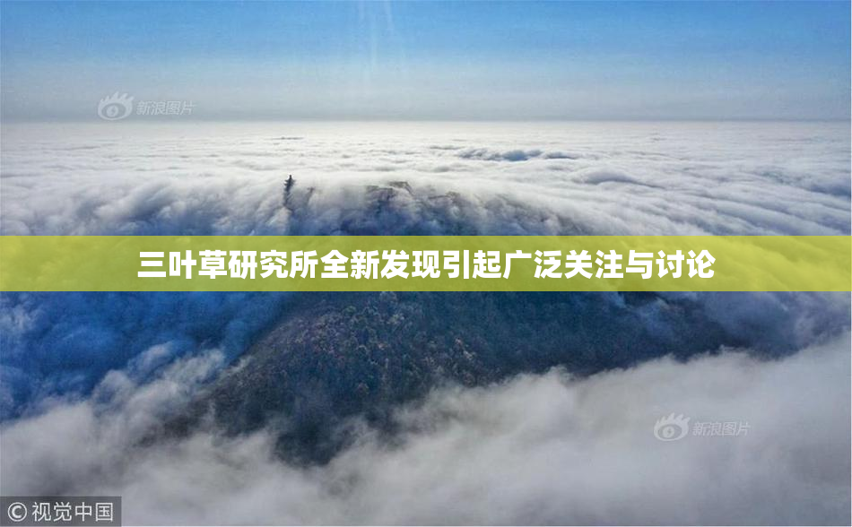 三叶草研究所全新发现引起广泛关注与讨论