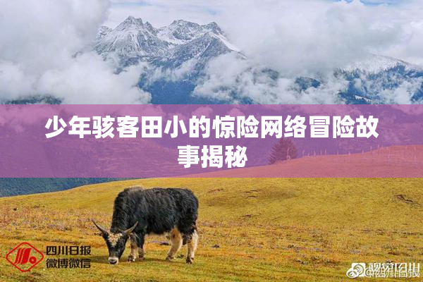少年骇客田小的惊险网络冒险故事揭秘