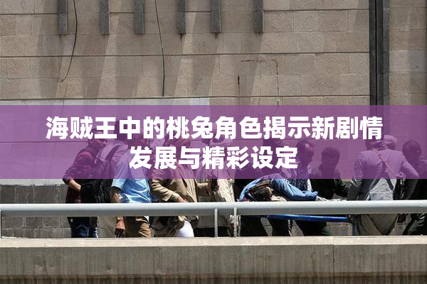海贼王中的桃兔角色揭示新剧情发展与精彩设定