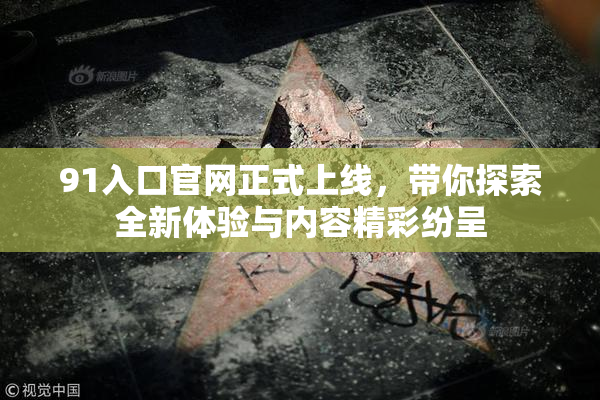 91入口官网正式上线，带你探索全新体验与内容精彩纷呈