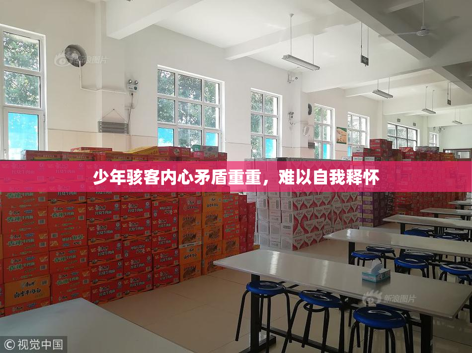 少年骇客内心矛盾重重，难以自我释怀