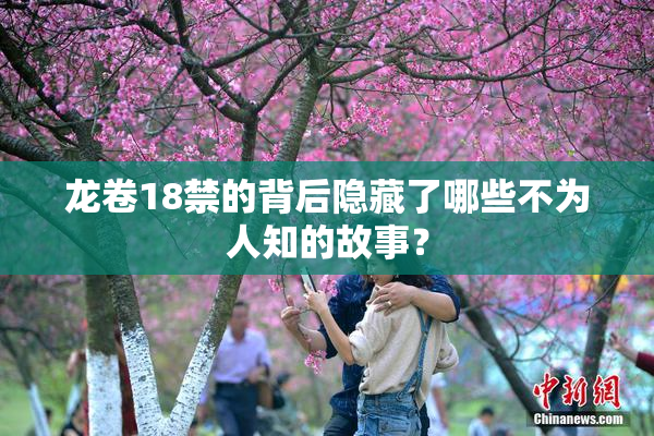 龙卷18禁的背后隐藏了哪些不为人知的故事？