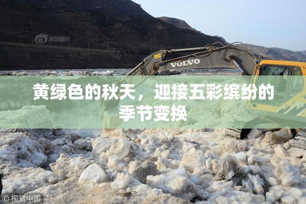 黄绿色的秋天，迎接五彩缤纷的季节变换