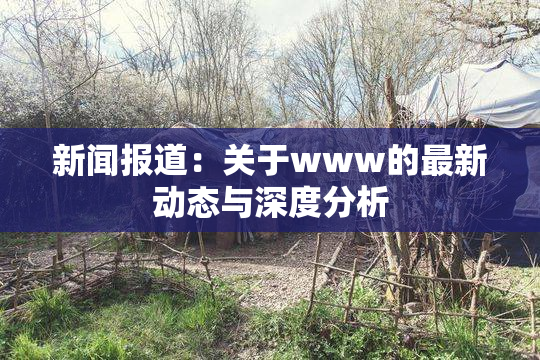 新闻报道：关于www的最新动态与深度分析