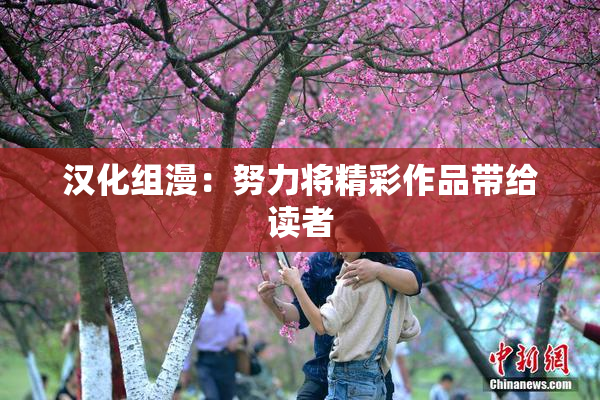汉化组漫：努力将精彩作品带给读者