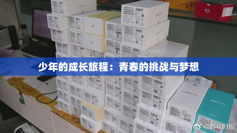 少年的成长旅程：青春的挑战与梦想