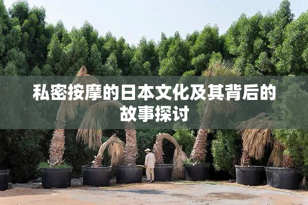 私密按摩的日本文化及其背后的故事探讨