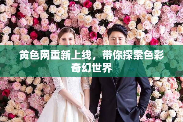 黄色网重新上线，带你探索色彩奇幻世界