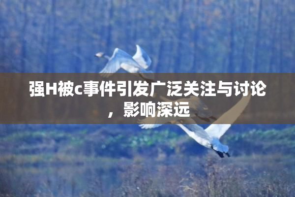强H被c事件引发广泛关注与讨论，影响深远